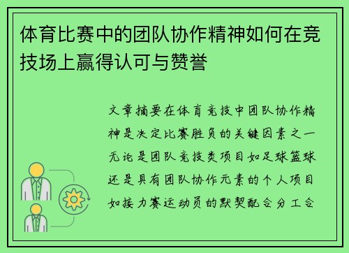体育比赛中的团队协作精神如何在竞技场上赢得认可与赞誉