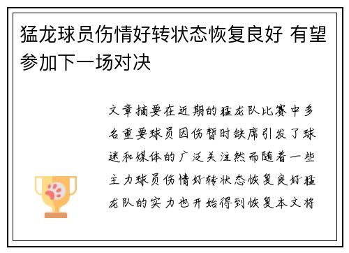 猛龙球员伤情好转状态恢复良好 有望参加下一场对决